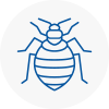 Bed Bug Extermination In Barnsley