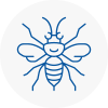 Barnsley Hornet Nest Removals
