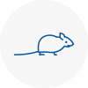 Mice Exterminators In Barnsley
