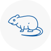Rat Control Barnsley