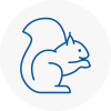Barnsley Rodent Removals