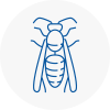 Barnsley Wasp Nest Removal